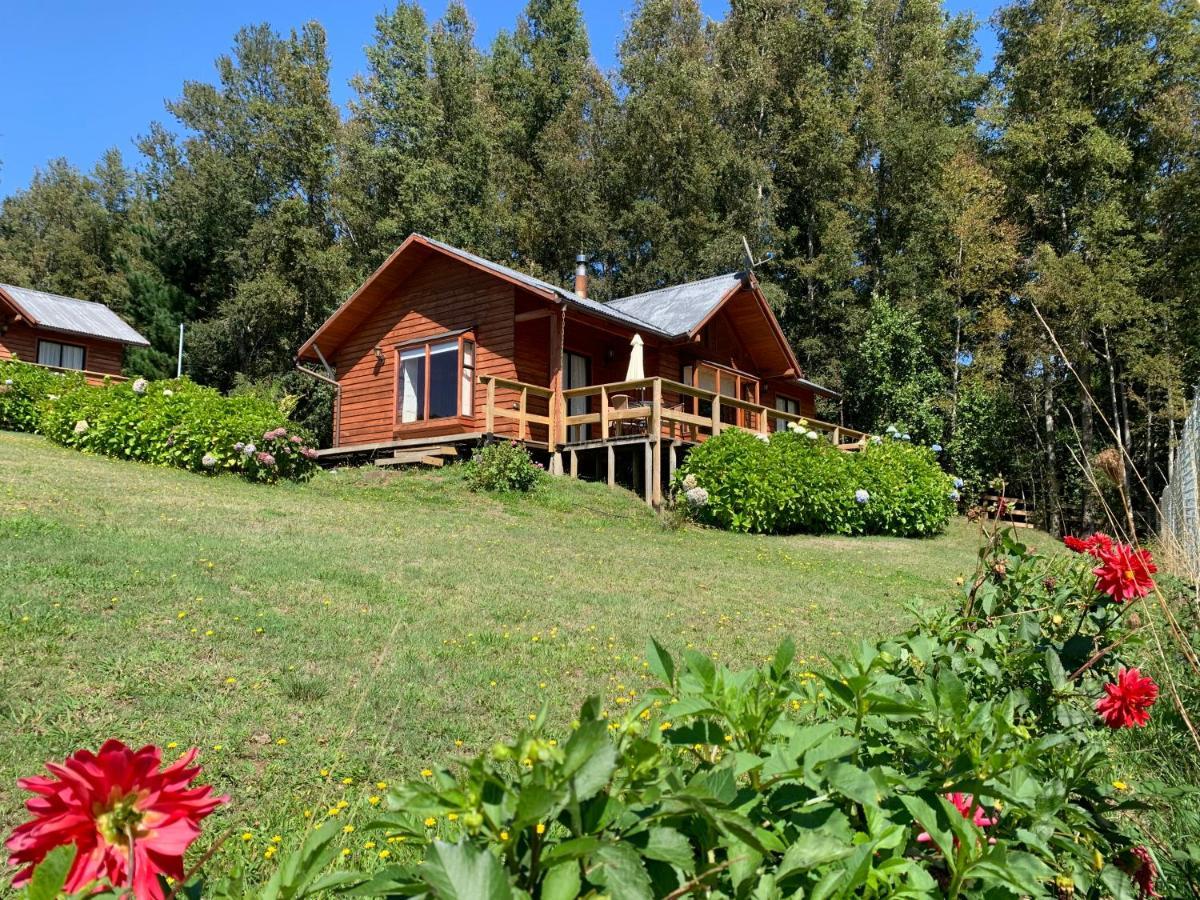 Cabanas Copayapu Pucón Extérieur photo